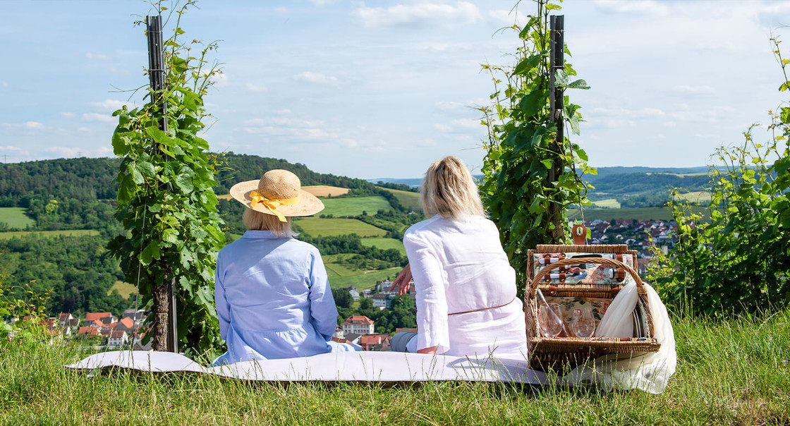 Picknick im Weinberg im Taubertal